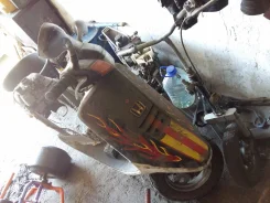 Honda Tact ����