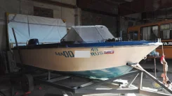 ����. 1996 ���, ����� 5 200��., ��������� ���������, 115��.�., ������ ����