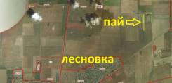 Продаётся земельный пай в селе Лесновка!. 38 000 кв. м., собственность, от агентства недвижимости (посредник)
