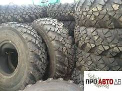 TyRex CRG O-184