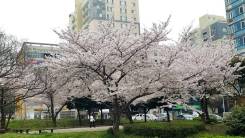 Работа для девушек в Южной Корее