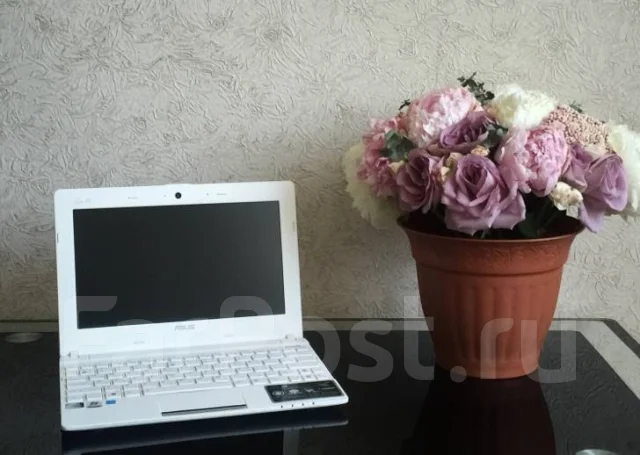 Asus Eee PC X101CH. 10.1", 1 600����, ��� 1024 ��, ���� 320���, WiFi: 1, Bluetooth: 1, ����������� �� 3��. ����