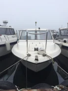 Yamaha LS-20. 1991 ���, ����� 6��., ��������� ���������, 140��.�., ������ ����