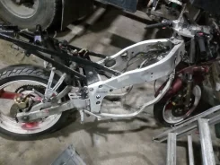 Yamaha FZR 250 ����