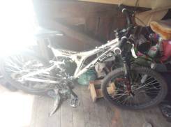 XDS