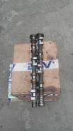 Распредвал впускной/выпускной Nissan, QG 15-18. Nissan: Bluebird Sylphy, Avenir, AD, Primera Camino, Expert, Wingroad, Bluebird, Caravan, Tino, Datsun...