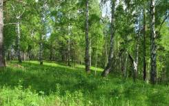 Участок под строительство загородного отеля. 21 000 кв. м., аренда, электричество, вода, от агентства недвижимости (посредник)