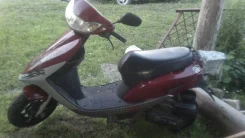 Motolife Alpha. 50����. ��., ��������, ���, � �������� ����