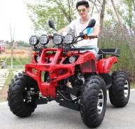 Honda TRX 250. исправен, есть птс, без пробега