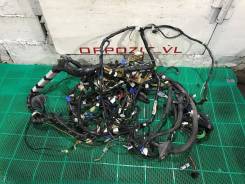 Электропроводка. Subaru Forester, SF5, SF9 Двигатели: EJ20, EJ201, EJ202, EJ203, EJ204, EJ205, EJ20A, EJ20E, EJ20G, EJ20J, EJ25, EJ251, EJ253, EJ254...