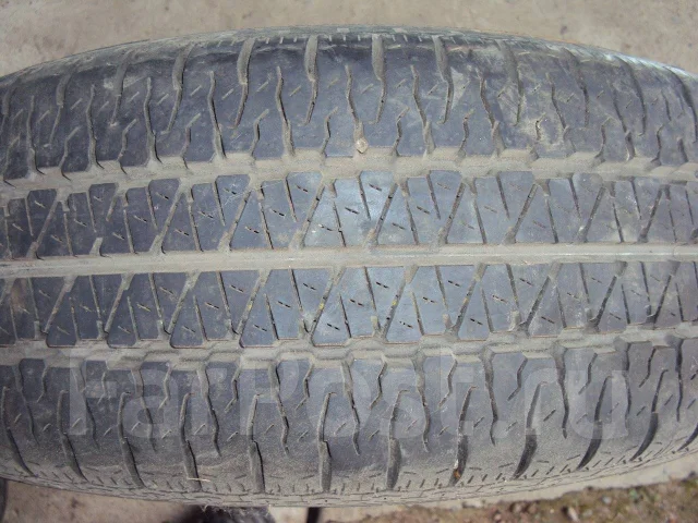 Dunlop SP 39. ������, �/�, ����� 5 % ����