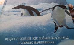 Мудрости жизни. Бери от жизни всё! Торг!
