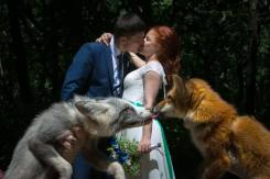 Свадебный Афро Фотограф Иван Кайда.