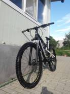 Corvus