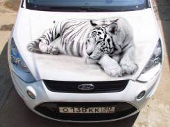 Ford S-MAX. автомат, передний, 2.3 (161 л.с.), бензин, 107 тыс. км
