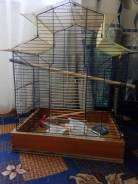 Клетки.