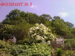 Продам ухоженную дачу. От агентства недвижимости (посредник). Фото участка