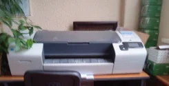 ��������. ����