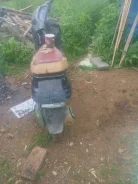 Honda Tact ����