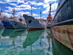 Менеджер проектов. ООО Ливадийский РСЗ. (поиск заказов по судоремонту/судостроению) доставка+питание+жилье. п Ливадия, улица Набережная 32
