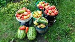 Продам дачу на 32км. От частного лица (собственник)