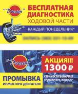 Промывка инжектора двигателя Акция!