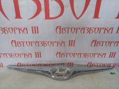 Молдинг решетки радиатора. Hyundai i30