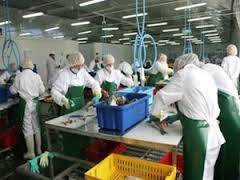 Рыбообработчик. ООО" Ресурс - ДВ". Хабаровский край, Комсомольский на Амуре район