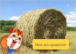 Сено.