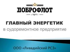 Главный энергетик. ООО ЛИВАДИЙСКИЙ РСЗ. Г Находка, п Ливадия, Набережная, 32