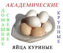 Куриные яйца