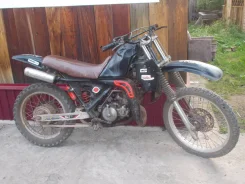Suzuki RM 250. 250����. ��., ��������, ��� ���, � �������� ����