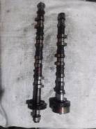 Распредвал. Toyota Vista, SV50 Toyota Nadia, SXN10, SXN10H Toyota Corona, ST210 Toyota Vista Ardeo, SV50, SV50G Двигатель 3SFSE
