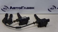 Катушка зажигания, трамблер. Kia Optima Kia Magentis Kia Sorento Kia Regal Hyundai H1 Hyundai Trajet Hyundai Sonata, EF Hyundai Santa Fe Двигатель G4J...