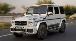 Кенгурятники. Mercedes-Benz G-Class, W463