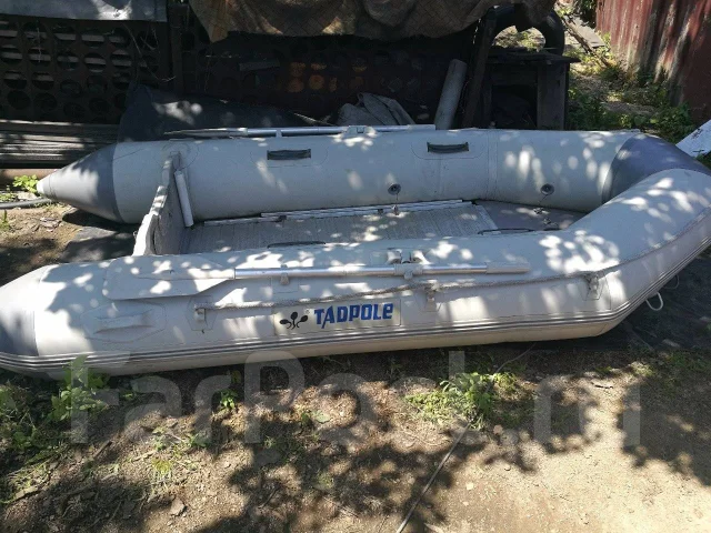 Tadpole MD-300. ��������� ���������, 9,8��.�., ������ ����