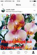 Защита растений от вредителей.
