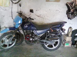 Irbis Intruder. 150����. ��., ��������, ���, � �������� ����