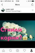 Ванда.