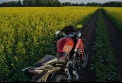 Racer Skyway. 250 куб. см., исправен, птс, с пробегом