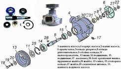 Ремонт насосов системы охлаждения двигателя