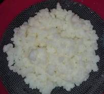 Грибы молочные.