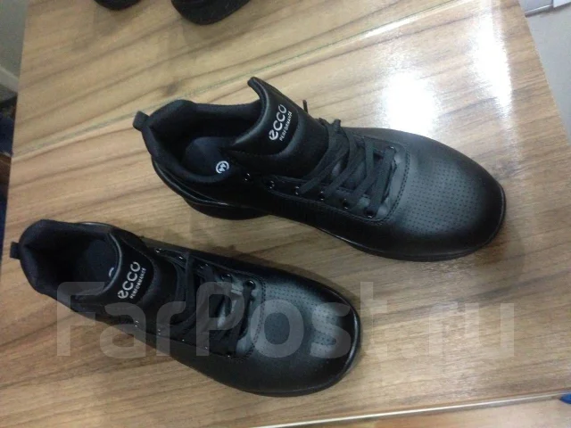 ��������� Ecco Siom