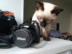 Nikon Coolpix. зум: 14х и более