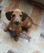 �����. ����
