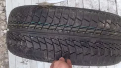 Nankang Snow Viva SV-1. �����������, 2006 ���, ����� ����