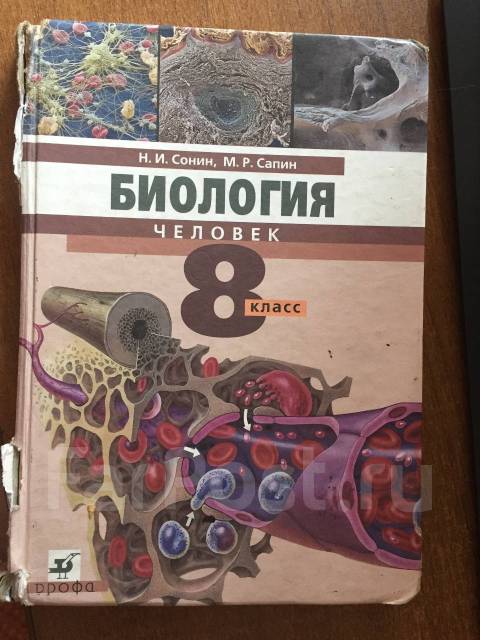 Биология 8 класс 2024г. Сонин н.и., Сапин м.р. биология. Человек. 8 Кл.. Биология 8 класс и.и. Сонин, м.р. Сапин. Биология 8 класс учебник Сонин. «Биология. Человек», Сонин н.и., Сапин м.р..