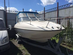 Marlin ����