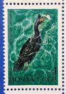 1972 СССР. Фауна. Водоплавающие птицы. Хохлатый баклан. 1 м Чистая