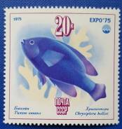 1975 СССР. ''Экспо-75''. Море и его будущее. Хризиптера, 1м Чистая